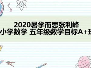 2020暑学而思张利峰 小学数学 五年级数学目标A+班