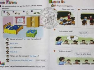 培生Pearson Language Central G1-G5下载 学生书+单词卡+练习册+答案