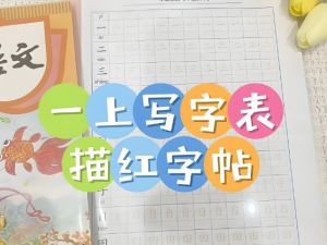 2024一字三描红写字表练字帖（1-6年级下册）