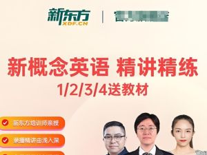 新东方 新概念1-4册精讲视频+精练资料包全套