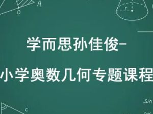学而思孙佳俊-小学奥数几何专题课程