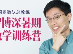 美国奥数队总教练罗博深《寒假训练营》(小学阶段)24课完整版