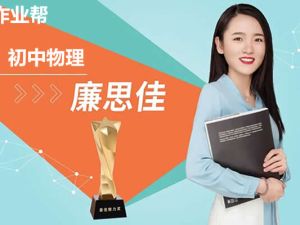2024廉思佳初三物理(暑假)网课视频