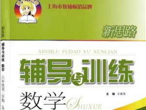 新思路初中数学六七八九年级辅导与训练word文档合集