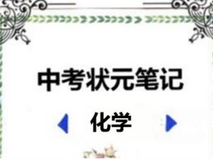 2022中考状元笔记（化学）