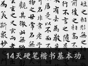 （程诚）《14天硬笔楷书基本功》