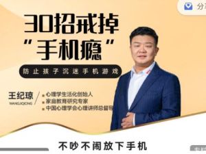 王纪琼的30个策略帮助你摆脱手机成瘾：安静下来，放下手机