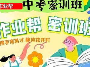 2022作业帮初三中考数学密训班（多位老师合讲网课视频