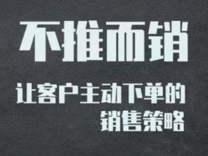 不推而销《让客户主动下单的销售策略》视频课程
