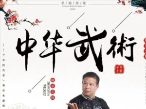 中华武术系列名师视频教程合集下载