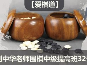 【爱棋道】别中华老师围棋中级提高班32课时+4复习课
