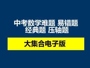 中考数学难题 易错题 经典题 压轴题大集合电子版
