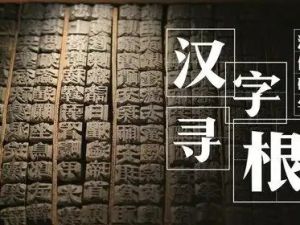 【完结】寻根汉字全集视频