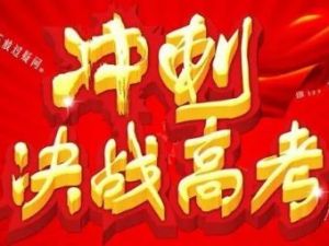 2023猿辅导-吕晶莹最新作文专项班-10次课搞定高考议论文写作