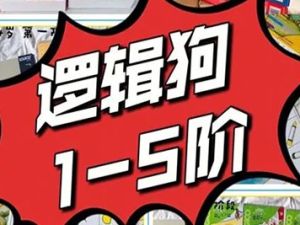 《逻辑狗LOGICO》1-5阶共32册PDF儿童思维训练教材