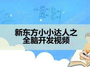 新东方小小达人之全脑开发视频