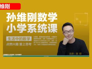 孙维刚小学计算能力提升课网课视频