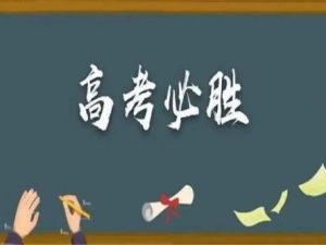 2023成瑞瑞高三高考语文（全年复习+暑秋寒春合集）