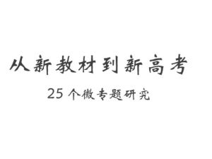 从新教材到新高考25个微专题研究PDF下载