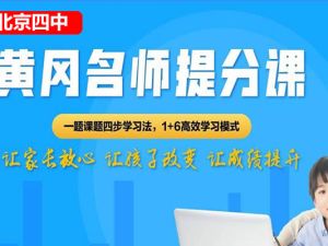 黄冈名师升级人教版初中语文合集网课视频