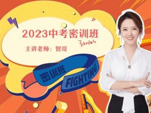2023杨雯智初中中考化学密训班网课视频