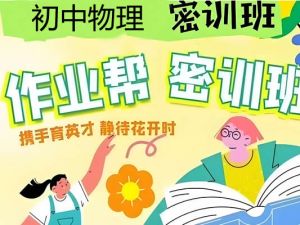 作业帮-初三中考物理密训班（多位老师合讲）网课视频