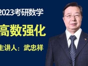 2023有道武忠祥领学班-考研数学-184G网课合集
