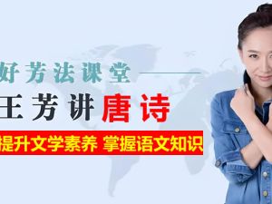 好芳法课堂《王芳讲唐诗》共38讲视频课程 网课视频