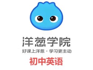 洋葱学院人教版初中英语7-9年级同步课+词性+时态310讲网课视频