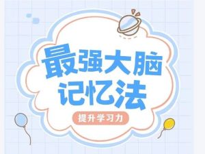 记忆超脑特训教程课全套网课视频