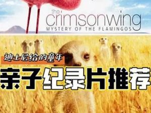 《13部迪士尼自然纪录片》高清视频最强动物类纪录片合集