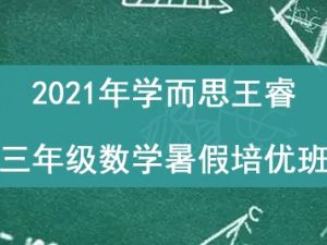 2021年学而思王睿 三年级数学暑假培优班