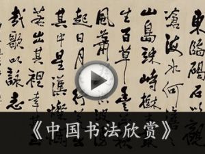 《中国书法欣赏》视频共31集