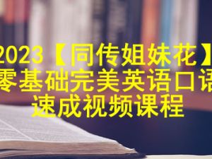 2023【同传姐妹花】零基础完美英语口语速成视频课程