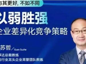 关苏哲课程《以弱胜强》企业差异化竞争策略课程