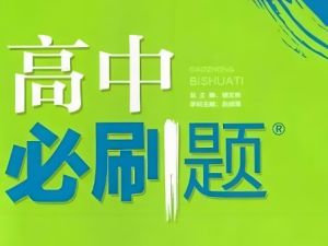 高中必刷试卷集锦+易错题宝典