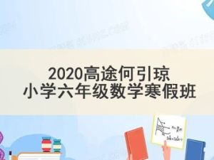2020高tu何引琼小学六年级数学寒假班 7讲带讲义