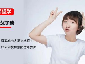 2024希望学于戈子琦春下二年级语文A+班（网课视频）