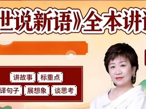 申怡老师-世说新语全本讲读网课视频