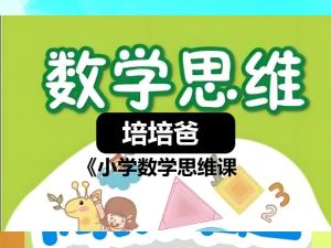 培培爸《小学数学思维课》网课视频