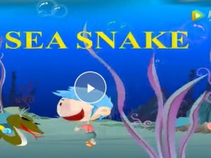 幼儿启蒙英语&middot;幼儿英语单词速记（66集）MP4视频