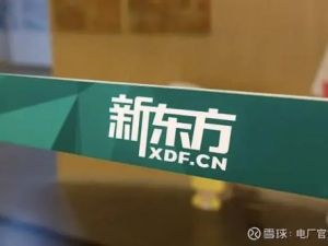 2023姜大雨新东方雅思7分旗舰班写作课程 10讲完