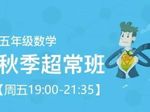 91好课王进平 小学五年级数学超常班