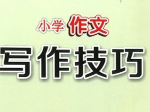 233网校《小学语文必学写作技巧之写作基础篇（三年级）》视频课程全15讲