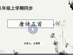 初中初二语文人教版（部编人教版）网课视频