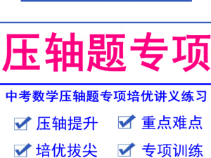 中考数学压轴题专题电子版