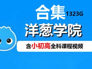 【洋葱学院】合集-含小初高全科课程视频1323G