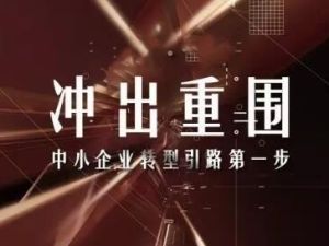 王冲《冲出重围》老板必修五课