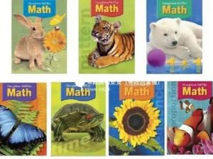 瑞思美国原版教材Houghton Mifflin Math GK-G6-美国原版数学教材