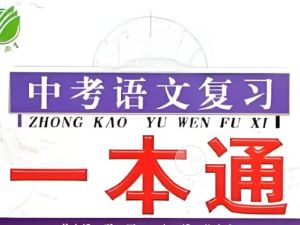 【完结】2024中考语文文学类文本一本通网课视频